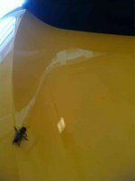 ImageUploadedByTapatalk1332312012.650793.jpg