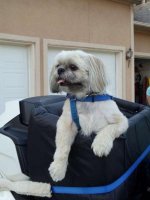 JakeMobile2012_0603_01.jpg