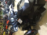 IMG_5547.jpg