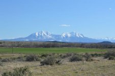 DSC_0052.jpg