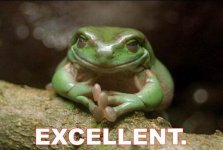 frog.jpg
