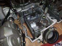 Dead Spyder 01.jpg