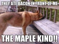 19bad0df46502d4fe7813e005eedf4ba.jpg