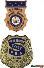 badgesSm2l.jpg