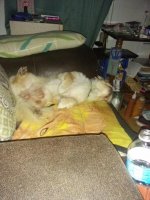 IMG_20160229_071341.jpg
