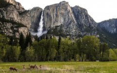 _Yosemite4.jpg