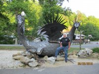 IMG_0456.jpg