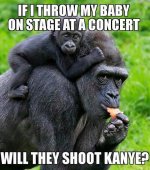 Will They Shoot Kanye.jpg