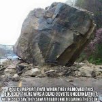 FB_IMG_1465249645871.jpg