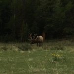 Image1465305145.516833.jpg