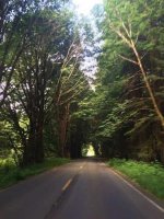Image1465538505.533581.jpg