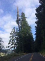 Image1465538517.924363.jpg