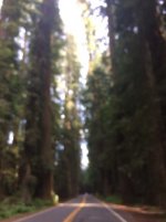 Image1465538549.619934.jpg