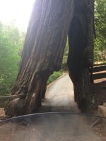 Image1465538579.251447.jpg