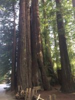 Image1465538615.252179.jpg