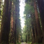 Image1465538627.144290.jpg