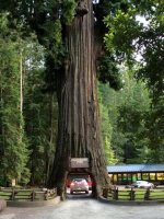 Image1465538654.890903.jpg