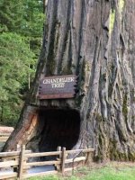 Image1465538664.533807.jpg