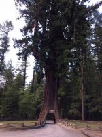 Image1465538754.705037.jpg