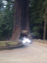 Image1465538770.710811.jpg