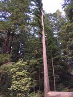 Image1465538790.545802.jpg