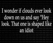 Shaped Like An Idiot.jpg