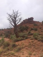 Image1465876285.975514.jpg