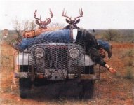 deers-hunting.jpg