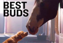 Best BUDS.jpg