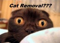 Cat Removal.jpg