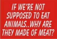 made out of meat.jpg