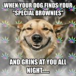 22-funny-dog-meme.jpg