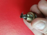 20160620_120623.jpg