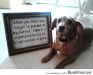Bad-dog-notes-13.jpg