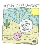 image.jpeg