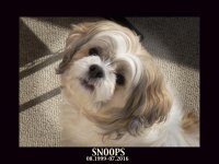 SNOOPS.jpg