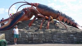 20160712_100446.jpg