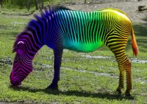 a_horse_of_a_different_color_by_santacruzing.jpg