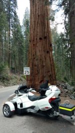 IMG_20160427_171623511.jpg