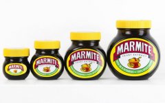 Marmite-family_3354874a-xlarge.jpg