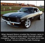 camero.jpg