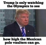 How High Can They Jump.jpg