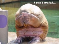 I can't watch.jpg