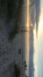 IMG_0255.jpg