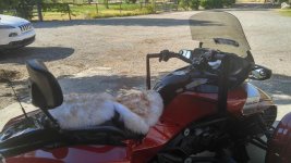 new seat cover.jpg