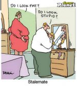 do i look fat.jpg