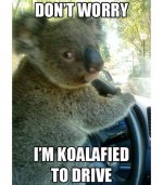 Koalafied To Drive.jpg
