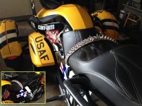 Spyder%20and%20spiked%20collar%20A.jpg