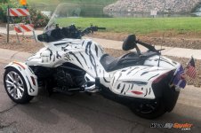 F3 Tiger stirpes black glossy.jpg