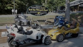 Spyders2.jpg